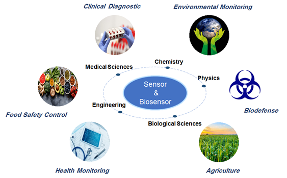 sensor and biosensor